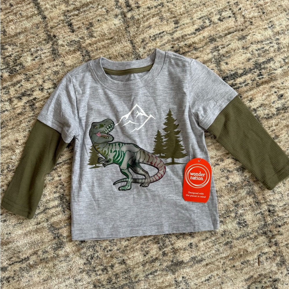 Wonder Nation Gray and Green Long Sleeve Tee with Dinosaur Graphic